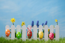 Spring Grass And Wooden Fence With Easter Eggs And Flower On Cloudy Sky