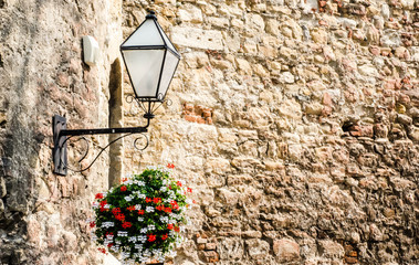 Flowers, lamp and the wall in Zegreb, Croatia