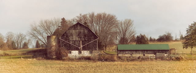 two barns in a field with trees.