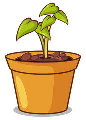 Poster - Potted plant with small plant on white background