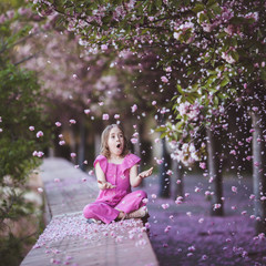 Wall Mural - Beautiful girl 10 y.o. in pink dress sit in cherry blossom park on a spring day, flower petals falling from the tree