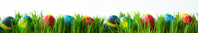 Easter Eggs In Green Grass On A White Background