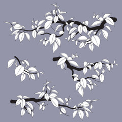 Wall Mural - Tree Branches Monochrome Set Vector Flat