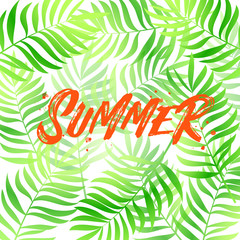 Wall Mural - Hello Summer handwritten lettering. Hello Summer typography vector design for greeting cards and poster. Design template celebration. Vector illustration.