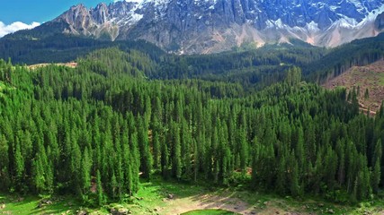 Wall Mural - aerial view of carezza lake in dolomites in summer, italy