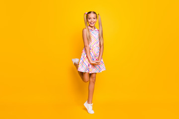 Wall Mural - Full body photo of beautiful small lady tourist good mood pretty long tails playful walk street wear plaid summer dress white sneakers isolated yellow vibrant color background