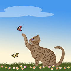 Wall Mural - kitten plays with butterflies in the meadow