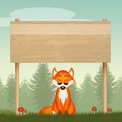 Poster - red fox and sign in the woods