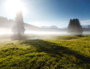 Wall Mural - misty summer night in the durmitor national park. location montenegro, europe.