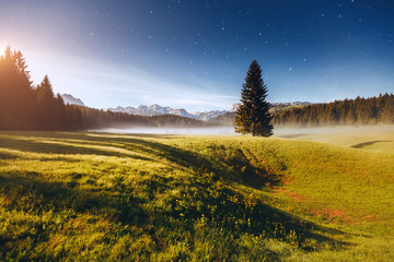 Wall Mural - misty summer night in the durmitor national park. location montenegro, europe.
