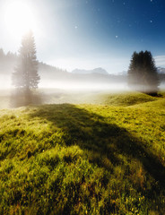 Wall Mural - misty summer night in the durmitor national park. location montenegro, europe.