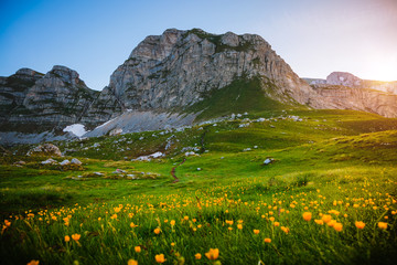 Canvas Print - Idyllic summer day in the Durmitor National park. Location place Sedlo pass, Montenegro.