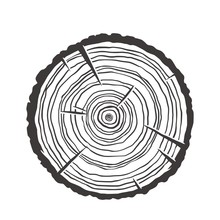 Wood Texture Rings Slice Of Tree Wooden Stump
