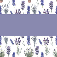  Lavender Wreath Frame Lilac Watercolor Aromatherapy Spring Plants Flora Isolated On White Background Stripe