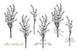Fototapeta Dmuchawce - Hand drawn  willow branches  set .Engraved Easter design elements . Vector vintage illustration. Clipart..