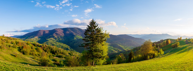 mountainous countryside in springtime at dusk