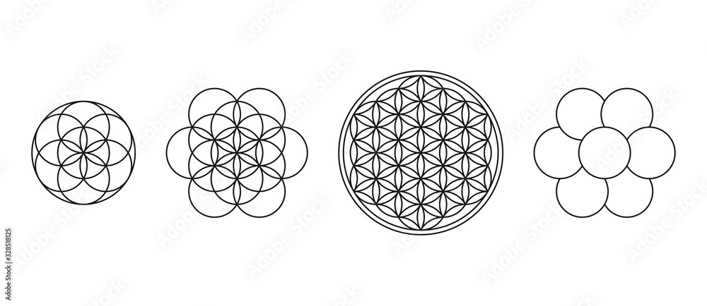 Flower of Life, Seed and Egg of Life. Geometric figures, spiritual symbols and sacred geometry. Circles forming symmetrical flower-like patterns. Illustration over white. Vector. - obrazy, fototapety, plakaty 
