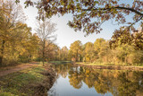 Fototapeta Łazienka - trees in autumn colors, by a river