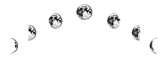 Wall Mural - moon phases planets in solar system. astrology or astronomical galaxy space. orbit or circle. engrav