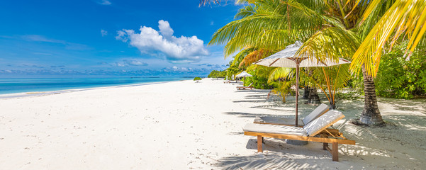 Beautiful tropical beach banner. White sand and coco palms travel tourism wide panorama background concept. Amazing beach landscape. Boost up color process. Luxury island resort vacation or holiday