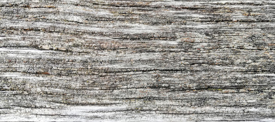 old wood plank texture background