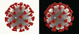 Fototapeta  - Coronavirus microscopic view. Floating influenza virus cells. Dangerous asian ncov corona virus, SARS pandemic risk concept. 3d rendering
