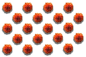 pattern of red flowers on a white background