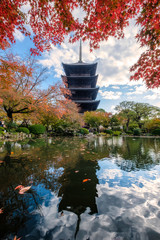 Ancient wood Toji temple reflection pond in maple leaves garden at Kyoto