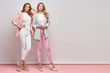 Fashion. Two beautiful woman, stylish clothes, trendy hair, make up. Well dressed model girl, friends on blue. Slim fashionable blonde, redhead lady in pink fashion jacket, skinny, beauty concept.