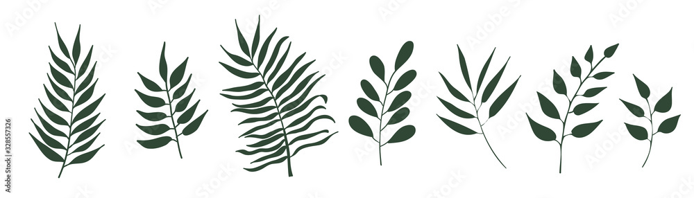 Vector set of leaves isolated on white background. Tropical palm trees branches - obrazy, fototapety, plakaty 