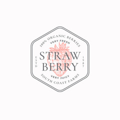 Wall Mural - strawberry farm badge or logo template. hand drawn berries sketch with retro typography and borders.