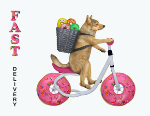 Wall Mural - The beige dog is riding the bicycle and delivering a basket of doughnuts. The wheels look like donuts. White background. Isolated.