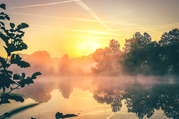 Wall Mural - Sunrise on a great calm lake in Germany.  everything is clearly reflected in the water.  and everything is in the forest with beautiful natural surroundings