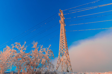 Wall Mural - Winter rime on the trees landscape