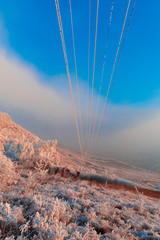 Wall Mural - Winter rime on the trees landscape