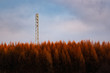 New tower build on the hill in forest rady for3G 4G LTE Radio Mast in a Rural Location