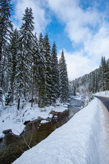 Wall Mural - Winter landscape in Carpathins Mountains