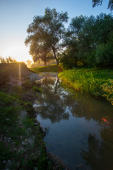 Canvas Print - Sunrise near the Mures river, Deva