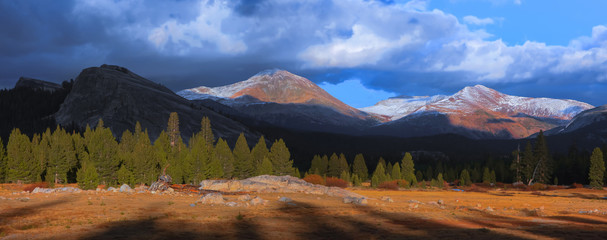 Canvas Print - Tioga pass landscape under evening sun light