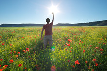 Man in spring meadow of poppy reach to sun