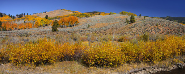 Canvas Print - Scenic autumn landscape near Marshall pass road in Colorado