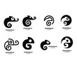 collection black chameleon logo icon design