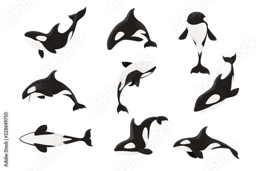 Set of killer whale(Orcinus orca) cartoon animal design ocean mammal orca flat v Tableau sur Toile