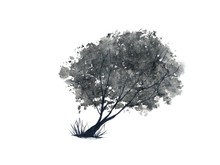 Watercolor Isolated Landscape Tree Stand Alone. Traditional Oriental Ink Asia Art Style	