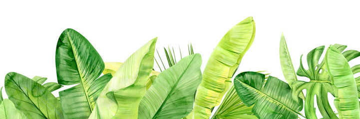 Green palm leaves and flowers banner. Tropical plant. Hand painted watercolor illustration isolated on white background. Realistic botanical art. For Web design and walpaper