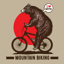 Bear Riding Mountain Bike