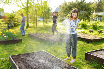 Wall Mural - Cute young girl watering flower beds in the garden at summer day. Child using garden hose on sunny day.