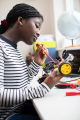 Wall Mural - Female Teenage Pupil Building Robot Car In Science Lesson