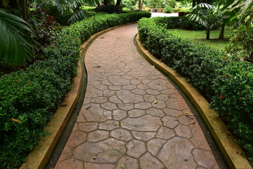 Wall Mural - cement stone pathway in green natural park