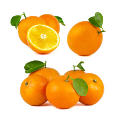 Wall Mural - Set of fresh oranges isolated on white background.